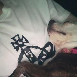 bowl for two (Explicit)