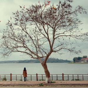 Tủi Thân Thôi Mà - Yan Nguyễn x Nhật Quyên