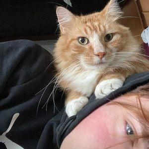 i got what you need (Explicit)