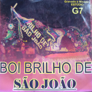 Boi Brilho de São João 2