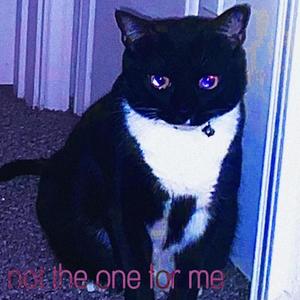 not the one for me (Explicit)