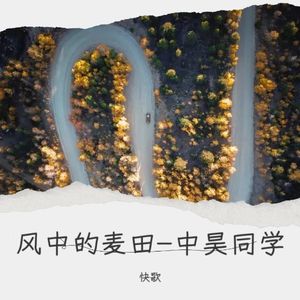 风中的麦田-中昊同学