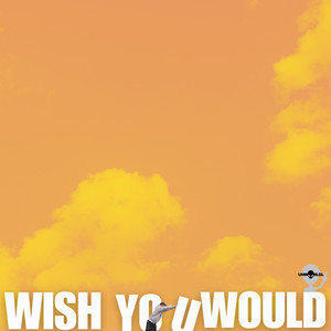 Wish You Would