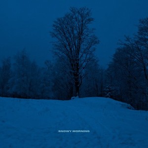 Snowy Morning