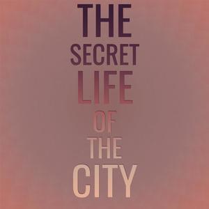 The Secret Life Of The City