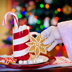 We Wish You a Merry Christmas