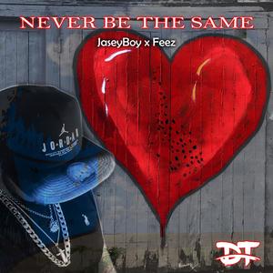 Never Be The Same(feat. Feez)