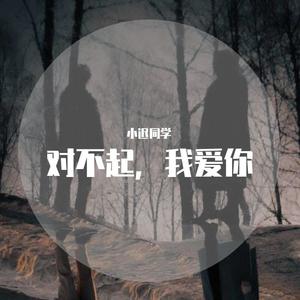 小迟同学 - 对不起,我爱你