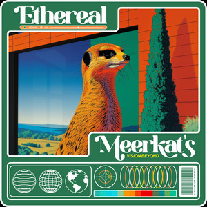 Ethereal Mirage: Meerkat's Vision Beyond