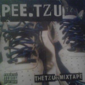 The TZUes Mixtape (Explicit)