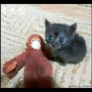 Grafitis en la Ciudad