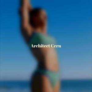 Architect Cern