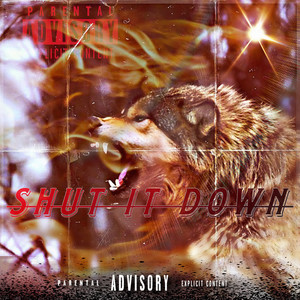 Shut IT Down (Explicit)