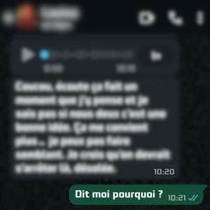 Dis moi pourquoi ? (feat. Alto & n€o) (Explicit)