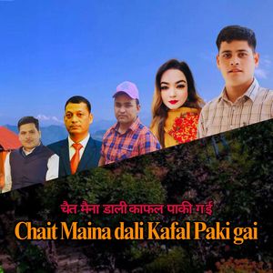 Chait Maina Dali Kafal Paki gai