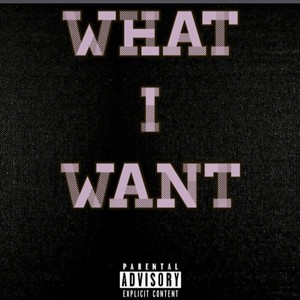 What I Want (feat. RatedR) [Explicit]