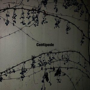 Centipede