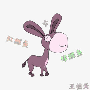 红鲤鱼与绿鲤鱼与驴 (COVER版)