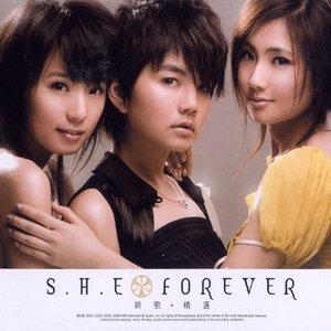 热带雨林，多少人的青春回忆