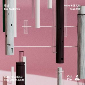 错过 (Red Ant remix)