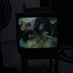 Staytrue - 0° degree (Explicit)