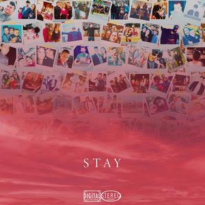 STAY