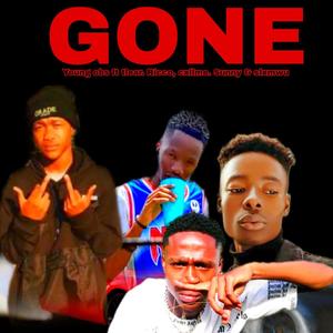 Gone (feat. Tlear.Ricco, cxllme.sunny & Slxmwu) [Explicit]