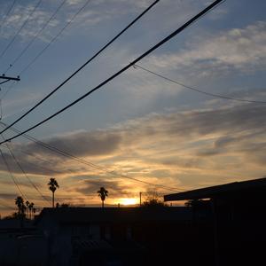 NO GUIDANCE (Explicit)