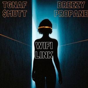 WIFI LINK (feat. Breezy Propane) [Explicit]