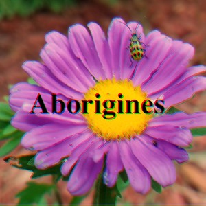 Aborigines