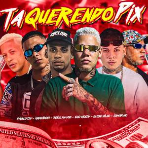 Ta Querendo Pix