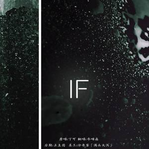 IF(cover:丁可）