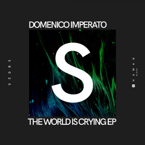 The World Is Crying (Original Mix)