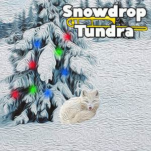 Snowdrop Tundra (Night) (From