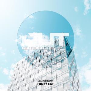 Funky Cat
