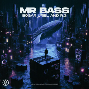 Mr. Bass