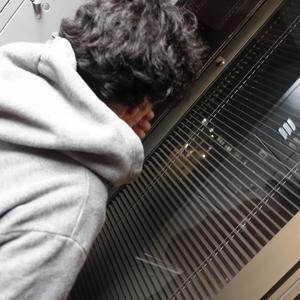 ૮₍_ ̫ _ ₎ა ♡ #UrMyMovieStar ˙✧˖°⋆｡˚ (Explicit)