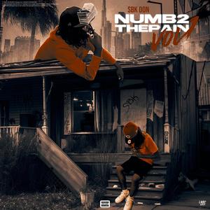 Numb 2 The Pain The Mixtape, Vol. 1 (Explicit)