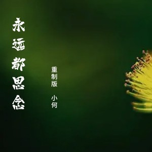 永远的思念 (重制版)