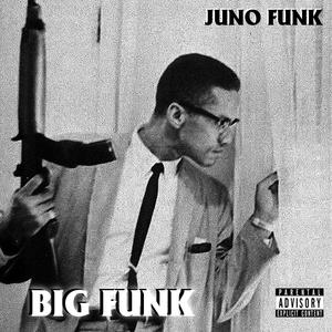 BIG FUNK