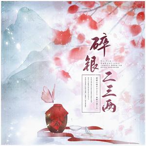碎银二三两封面