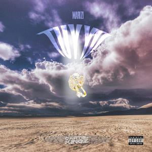 Tu y yo (feat. Mari Zi & Liri-k) (Explicit)