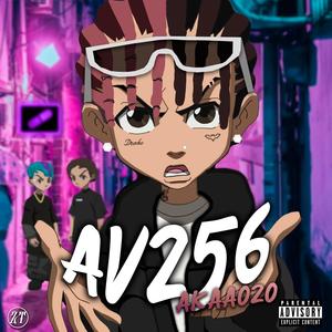 AV256