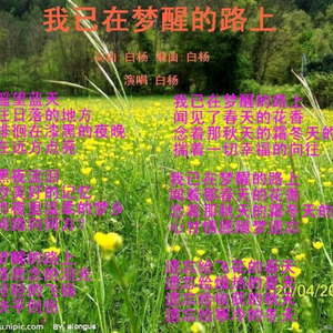 秋天的落叶 (Inst.)