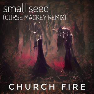 Small Seed (Curse Mackey Remix)
