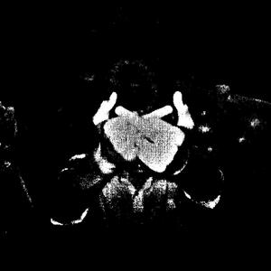 **** The Rest (Explicit)