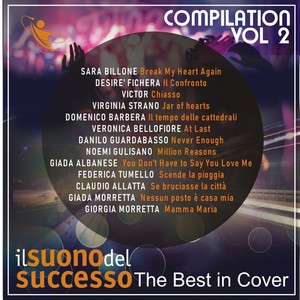 The Best in Cover Vol. 2