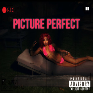 Picture Perfect (Explicit)