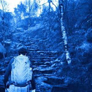 no reason to cry (Single Version)