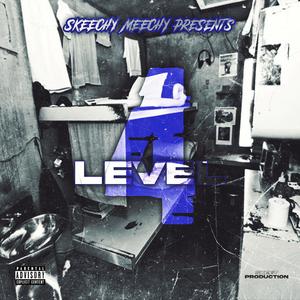 Level 4 (Explicit)